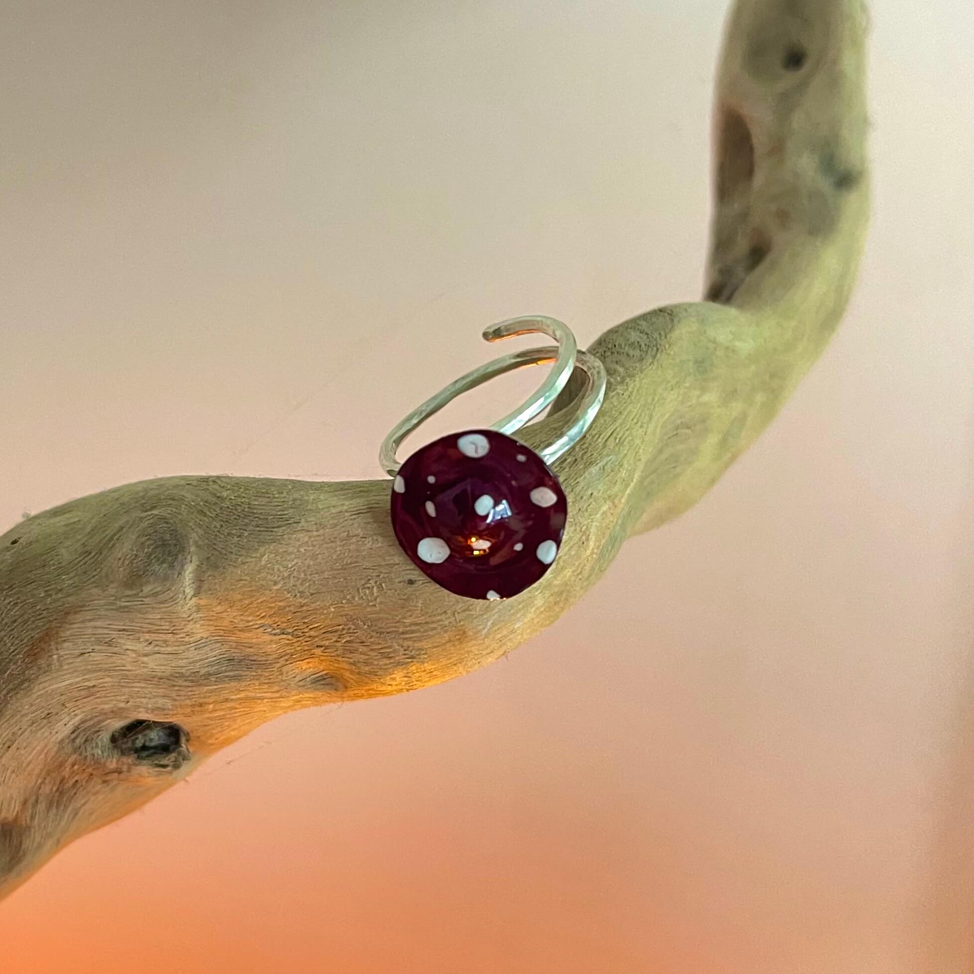 funghi ring funghi ring