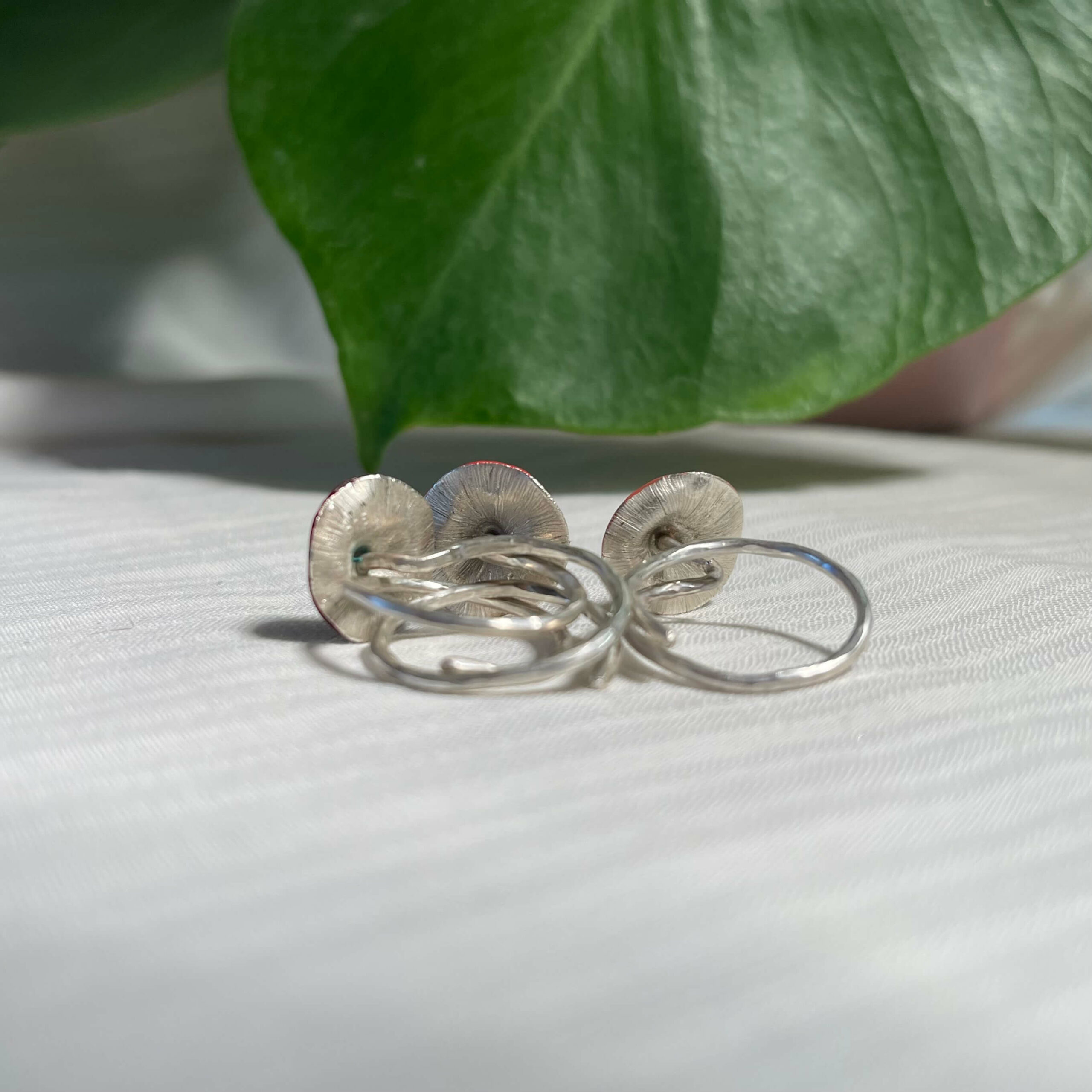 funghi ring funghi ring